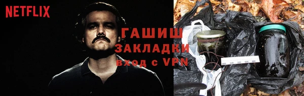 стаф Алзамай