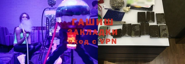 стаф Алзамай