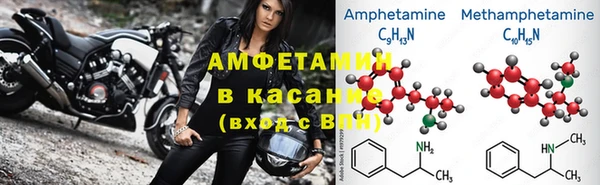 стаф Алзамай