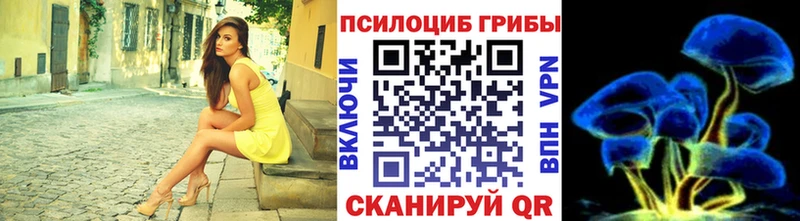 Галлюциногенные грибы прущие грибы  Чердынь 