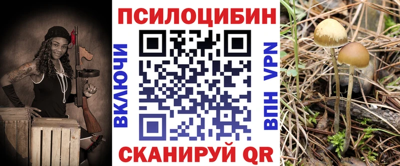 Галлюциногенные грибы мицелий Чердынь